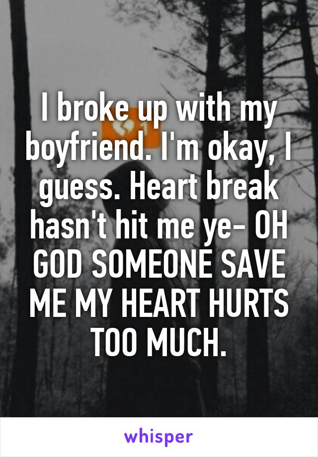 I broke up with my boyfriend. I'm okay, I guess. Heart break hasn't hit me ye- OH GOD SOMEONE SAVE ME MY HEART HURTS TOO MUCH.