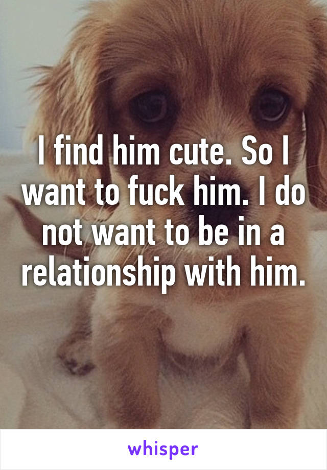 I find him cute. So I want to fuck him. I do not want to be in a relationship with him. 