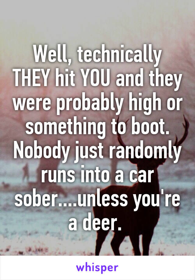 Well, technically THEY hit YOU and they were probably high or something to boot. Nobody just randomly runs into a car sober....unless you're a deer. 