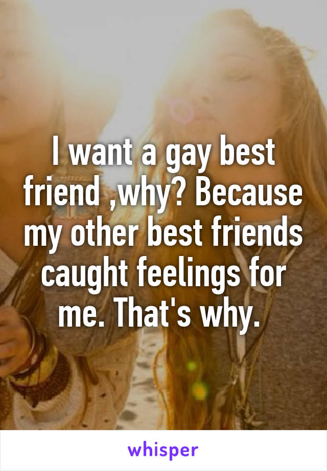 I want a gay best friend ,why? Because my other best friends caught feelings for me. That's why. 