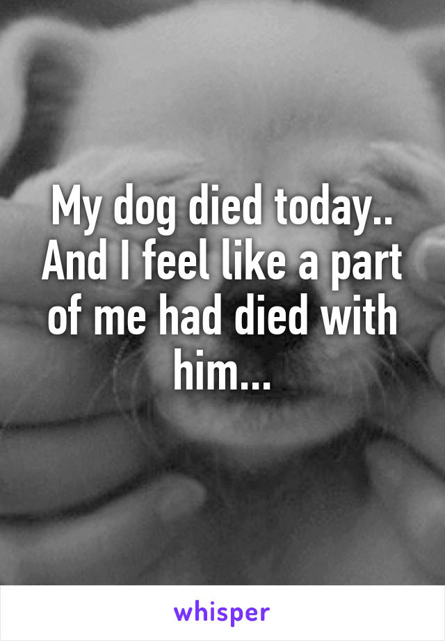 My dog died today..
And I feel like a part of me had died with him...
