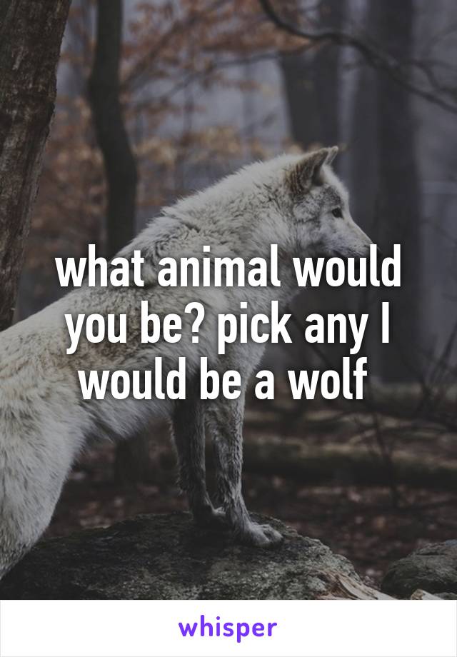 what animal would you be? pick any I would be a wolf 