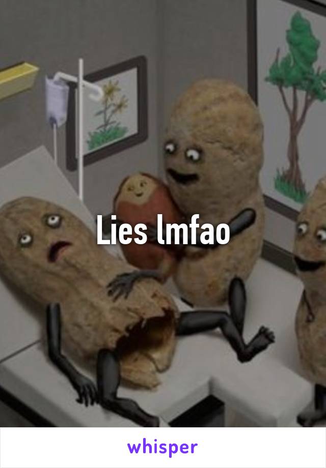 Lies lmfao