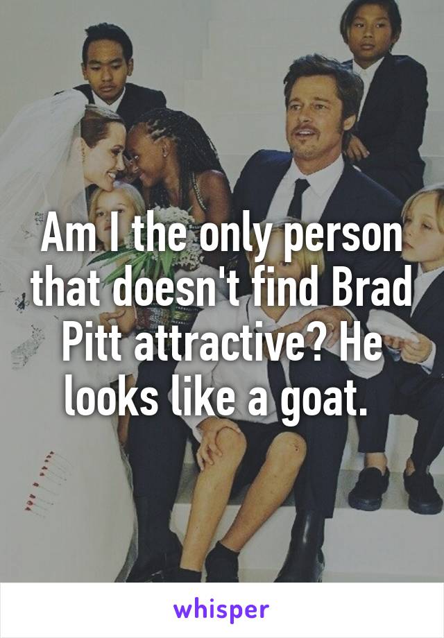 Am I the only person that doesn't find Brad Pitt attractive? He looks like a goat. 