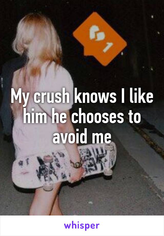 My crush knows I like him he chooses to avoid me