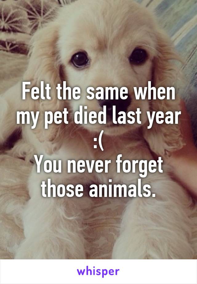 Felt the same when my pet died last year :(
You never forget those animals.