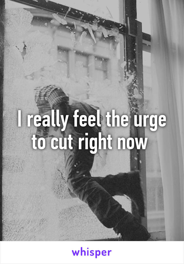 I really feel the urge to cut right now 