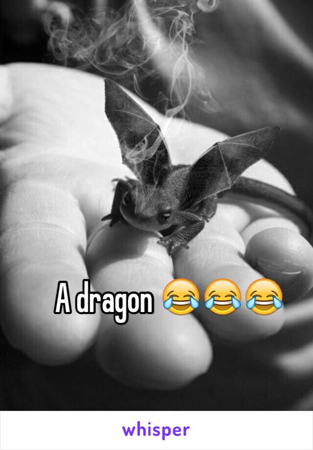 A dragon 😂😂😂