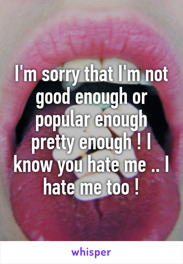 I'm sorry that I'm not good enough or popular enough pretty enough ! I know you hate me .. I hate me too !