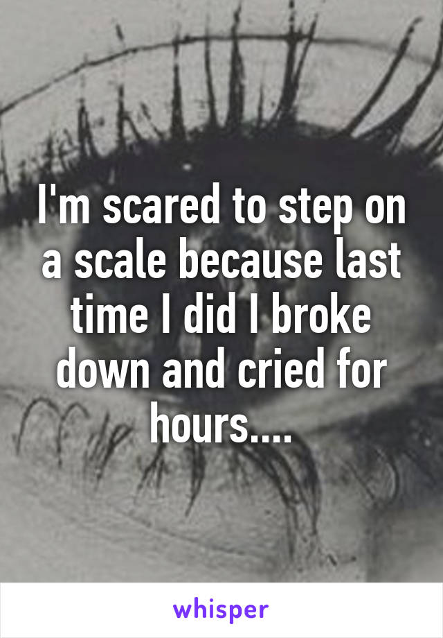 I'm scared to step on a scale because last time I did I broke down and cried for hours....