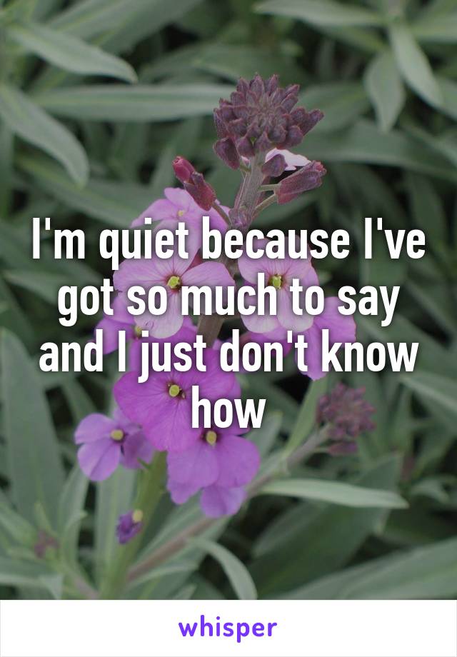 I'm quiet because I've got so much to say and I just don't know how