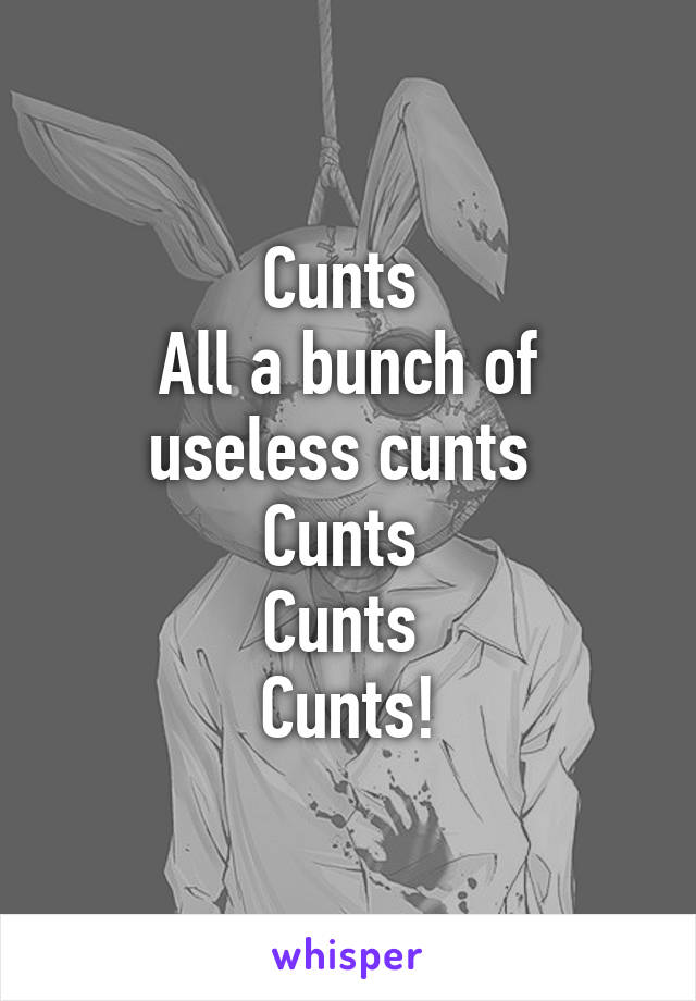 Cunts 
All a bunch of useless cunts 
Cunts 
Cunts 
Cunts!