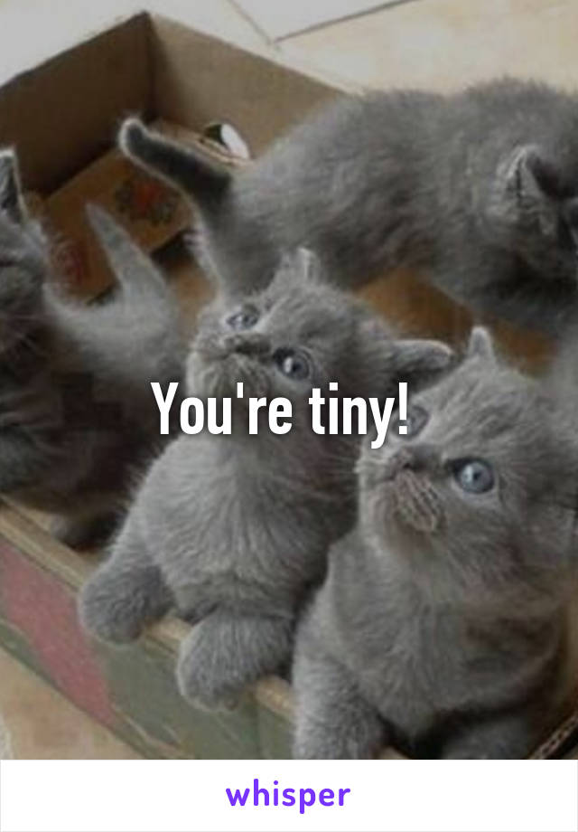 You're tiny! 