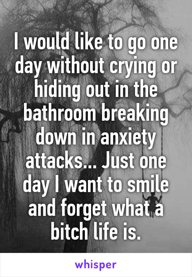 I would like to go one day without crying or hiding out in the bathroom breaking down in anxiety attacks... Just one day I want to smile and forget what a bitch life is.