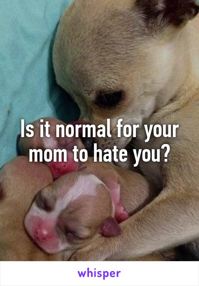 Is it normal for your mom to hate you?