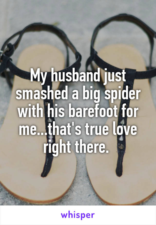 My husband just smashed a big spider with his barefoot for me...that's true love right there. 
