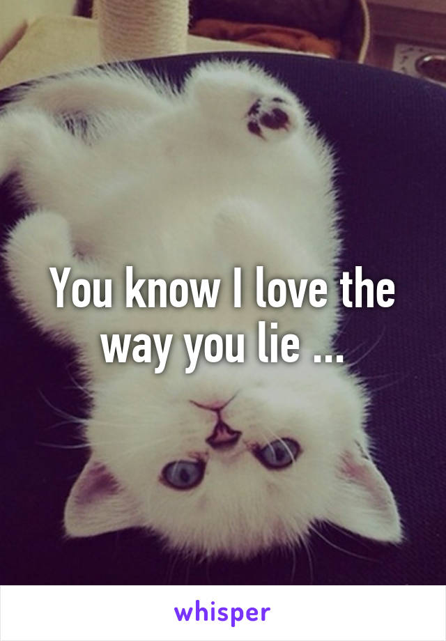 You know I love the way you lie ...