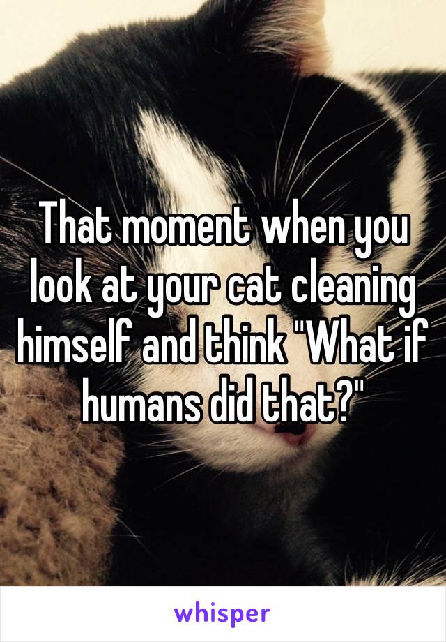 That moment when you look at your cat cleaning himself and think "What if humans did that?"