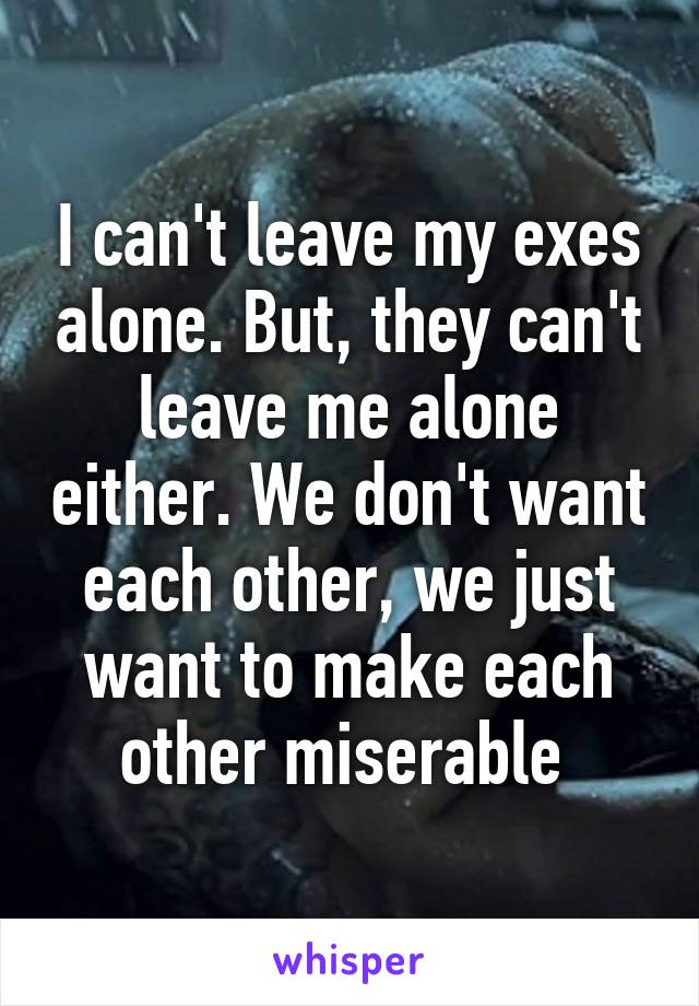 I can't leave my exes alone. But, they can't leave me alone either. We don't want each other, we just want to make each other miserable 