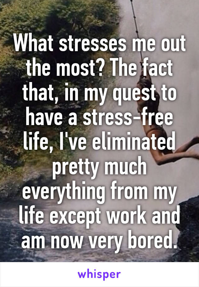 What stresses me out the most? The fact that, in my quest to have a stress-free life, I've eliminated pretty much everything from my life except work and am now very bored.