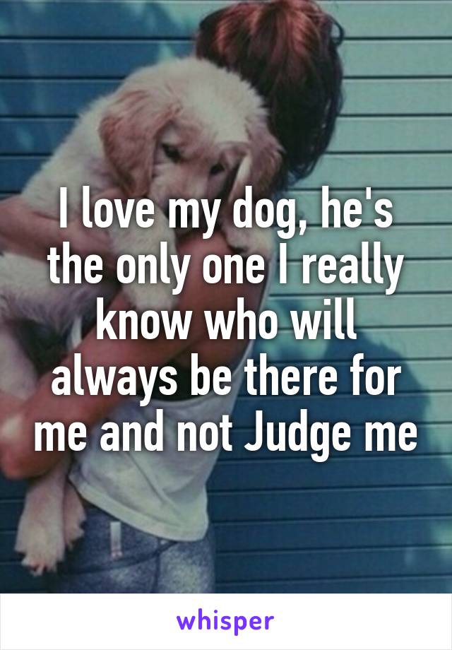 I love my dog, he's the only one I really know who will always be there for me and not Judge me