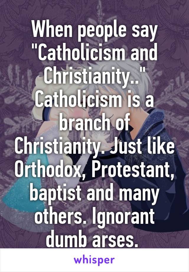 When people say "Catholicism and Christianity.." Catholicism is a branch of Christianity. Just like Orthodox, Protestant, baptist and many others. Ignorant dumb arses. 