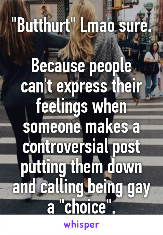 "Butthurt" Lmao sure.

Because people can't express their feelings when someone makes a controversial post putting them down and calling being gay a "choice".