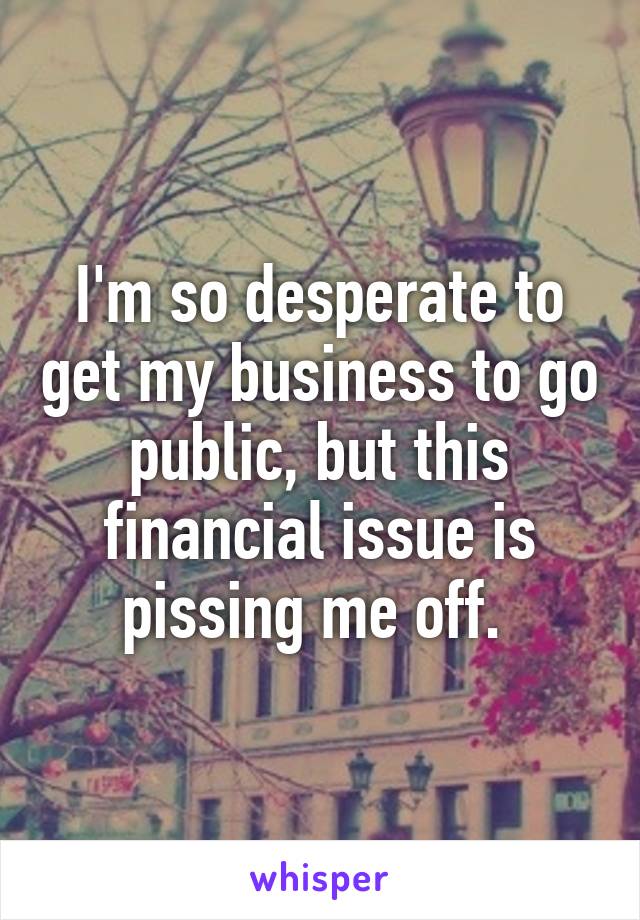 I'm so desperate to get my business to go public, but this financial issue is pissing me off. 