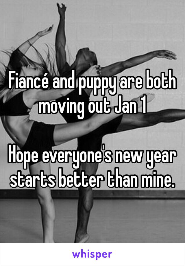 Fiancé and puppy are both moving out Jan 1

Hope everyone's new year starts better than mine. 