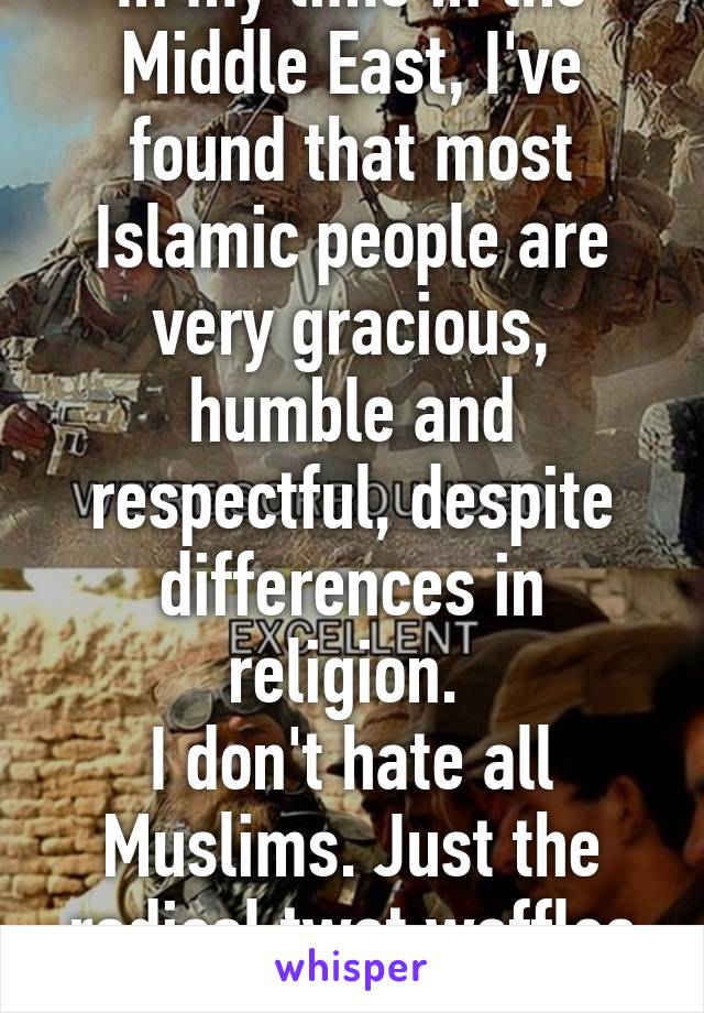 In my time in the Middle East, I've found that most Islamic people are very gracious, humble and respectful, despite differences in religion. 
I don't hate all Muslims. Just the radical twat waffles XD