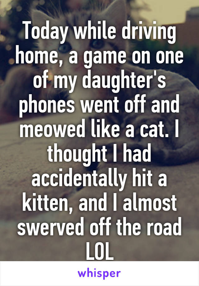 Today while driving home, a game on one of my daughter's phones went off and meowed like a cat. I thought I had accidentally hit a kitten, and I almost swerved off the road LOL