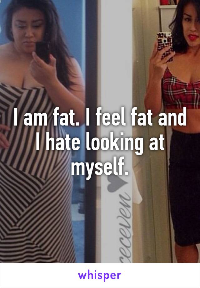 I am fat. I feel fat and I hate looking at myself.