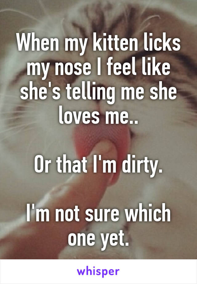 When my kitten licks my nose I feel like she's telling me she loves me..

Or that I'm dirty.

I'm not sure which one yet.