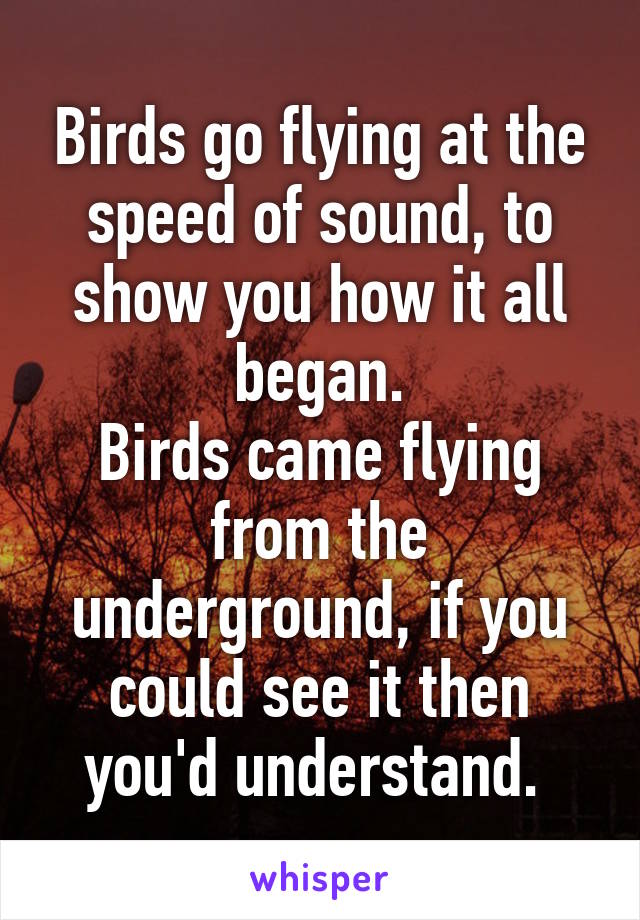 Birds go flying at the speed of sound, to show you how it all began.
Birds came flying from the underground, if you could see it then you'd understand. 