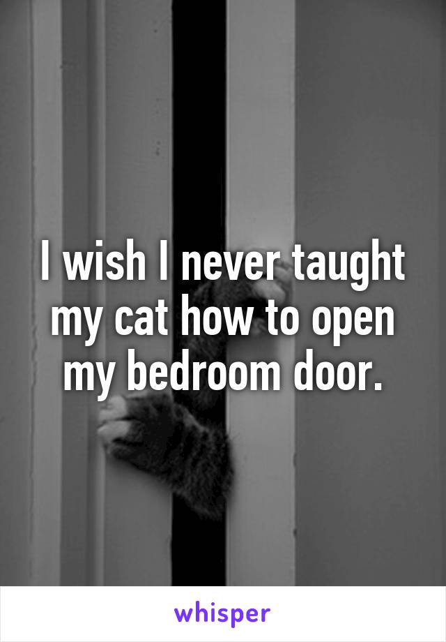 I wish I never taught my cat how to open my bedroom door.