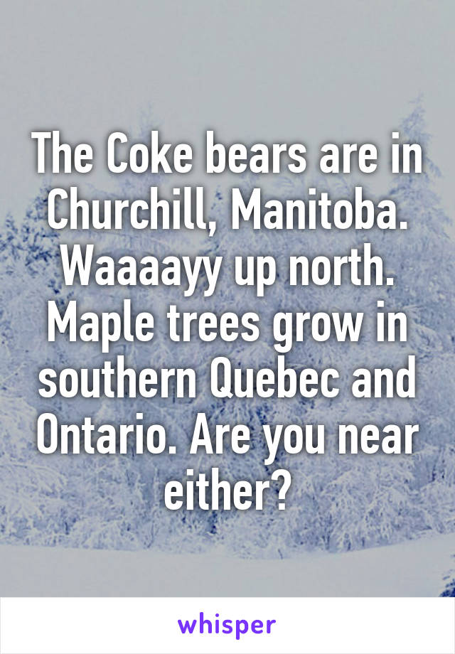 The Coke bears are in Churchill, Manitoba. Waaaayy up north. Maple trees grow in southern Quebec and Ontario. Are you near either?