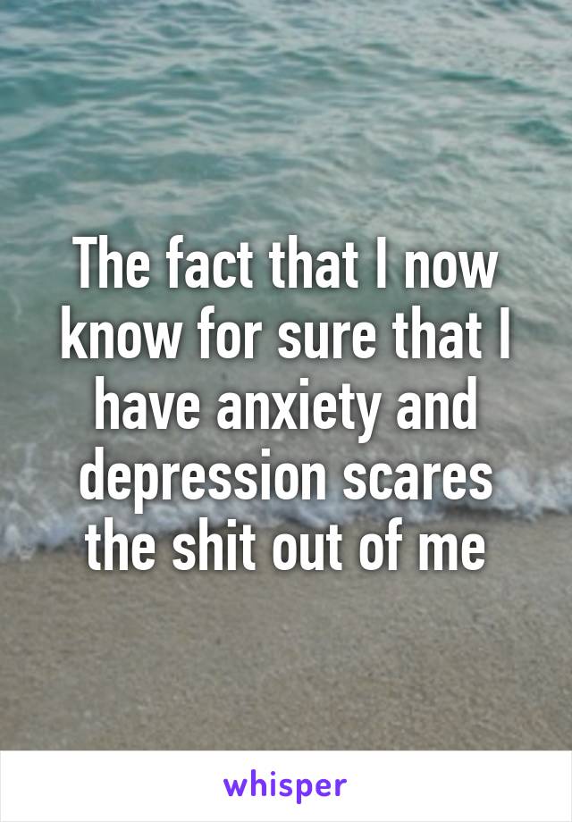 The fact that I now know for sure that I have anxiety and depression scares the shit out of me