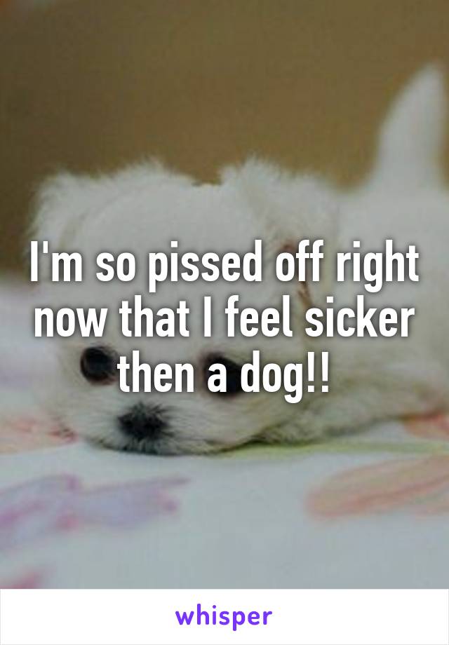 I'm so pissed off right now that I feel sicker then a dog!!