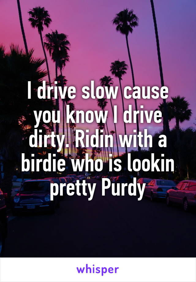 I drive slow cause you know I drive dirty. Ridin with a birdie who is lookin pretty Purdy