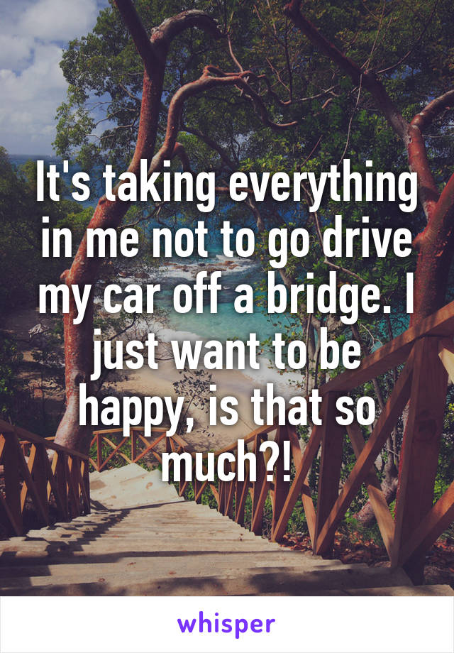 It's taking everything in me not to go drive my car off a bridge. I just want to be happy, is that so much?!