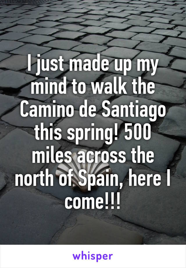 I just made up my mind to walk the Camino de Santiago this spring! 500 miles across the north of Spain, here I come!!!