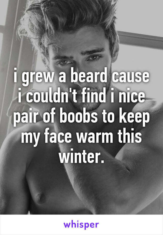 i grew a beard cause i couldn't find i nice pair of boobs to keep my face warm this winter.