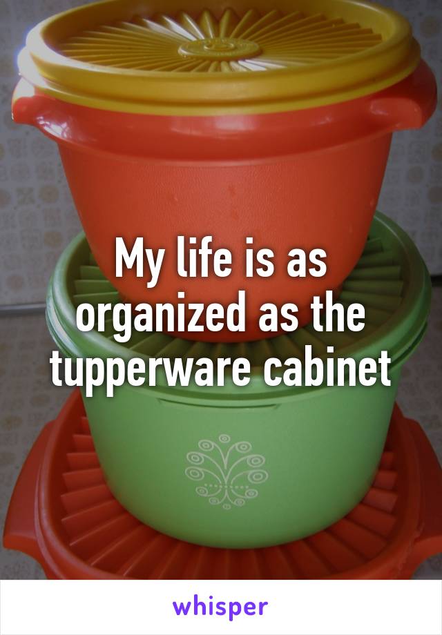 My life is as organized as the tupperware cabinet