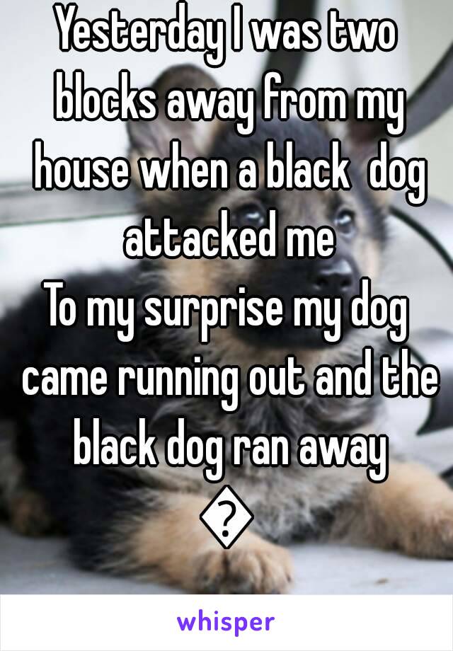 Yesterday I was two blocks away from my house when a black  dog attacked me
To my surprise my dog came running out and the black dog ran away
💜