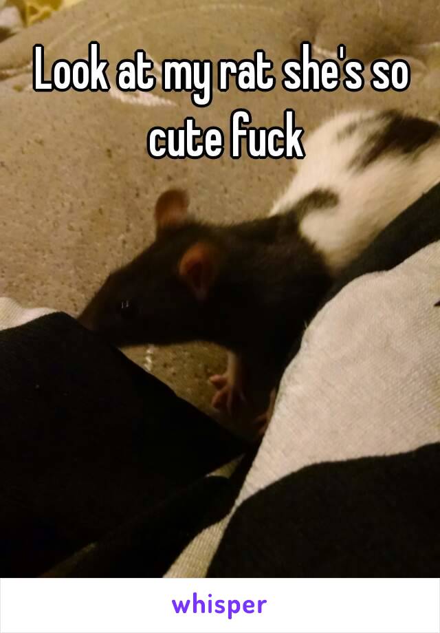 Look at my rat she's so cute fuck