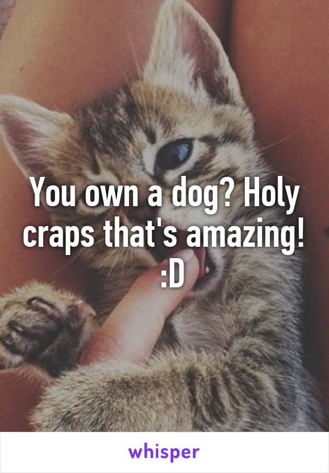 You own a dog? Holy craps that's amazing!   :D