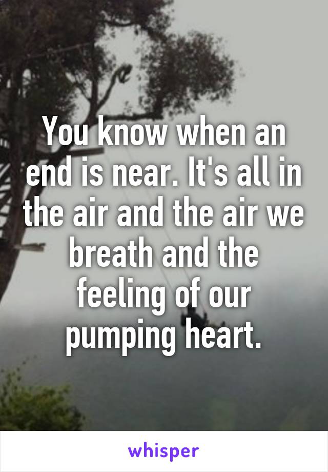 You know when an end is near. It's all in the air and the air we breath and the feeling of our pumping heart.