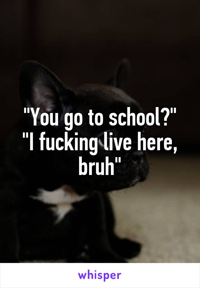 "You go to school?"
"I fucking live here, bruh"