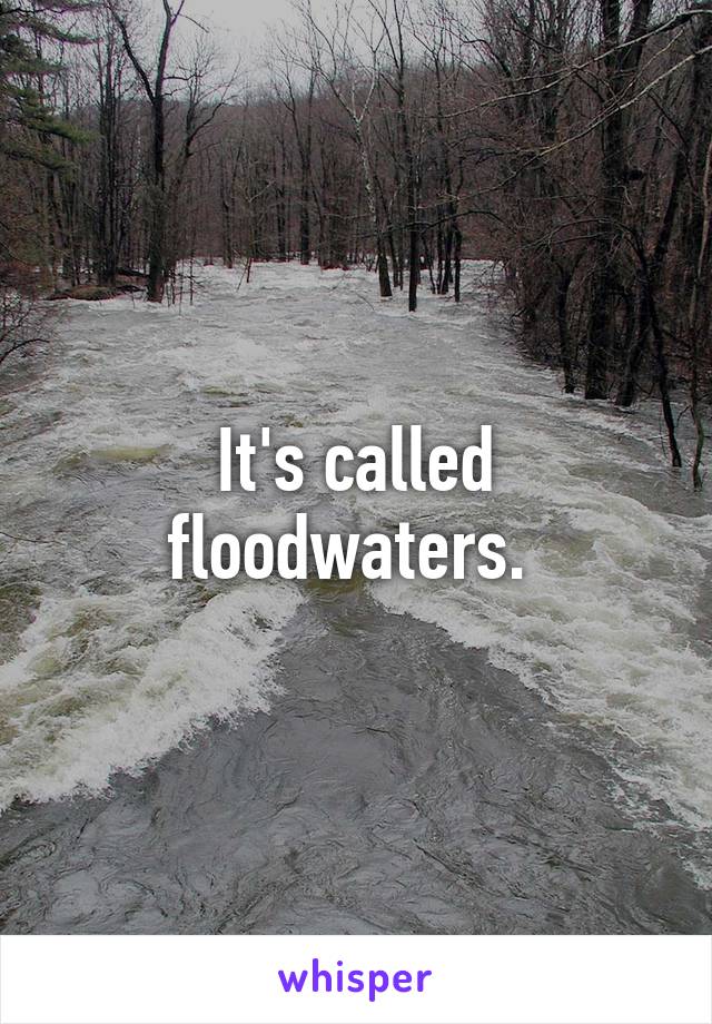 It's called floodwaters. 