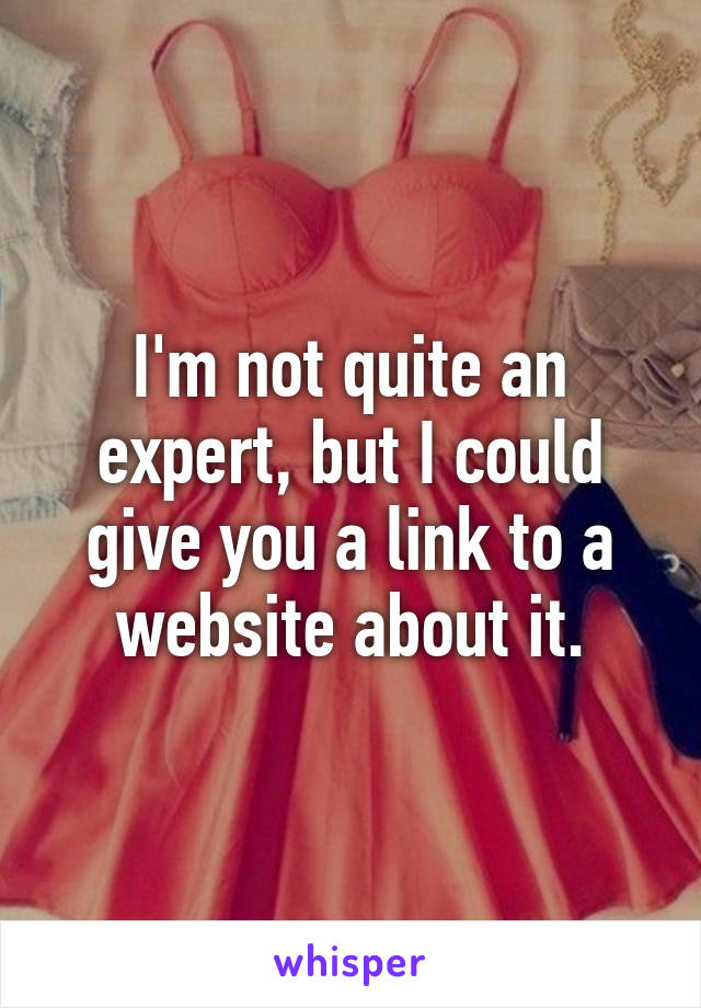 I'm not quite an expert, but I could give you a link to a website about it.